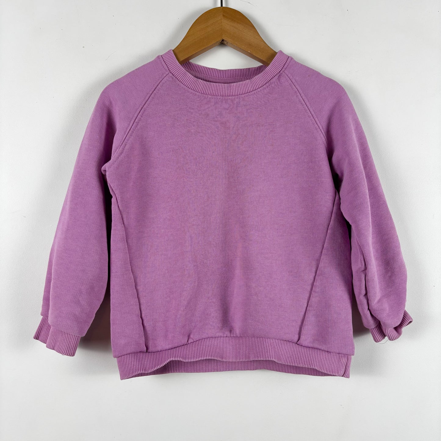 Purple Sweatshirt (18-24M)