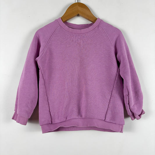 Purple Sweatshirt (18-24M)