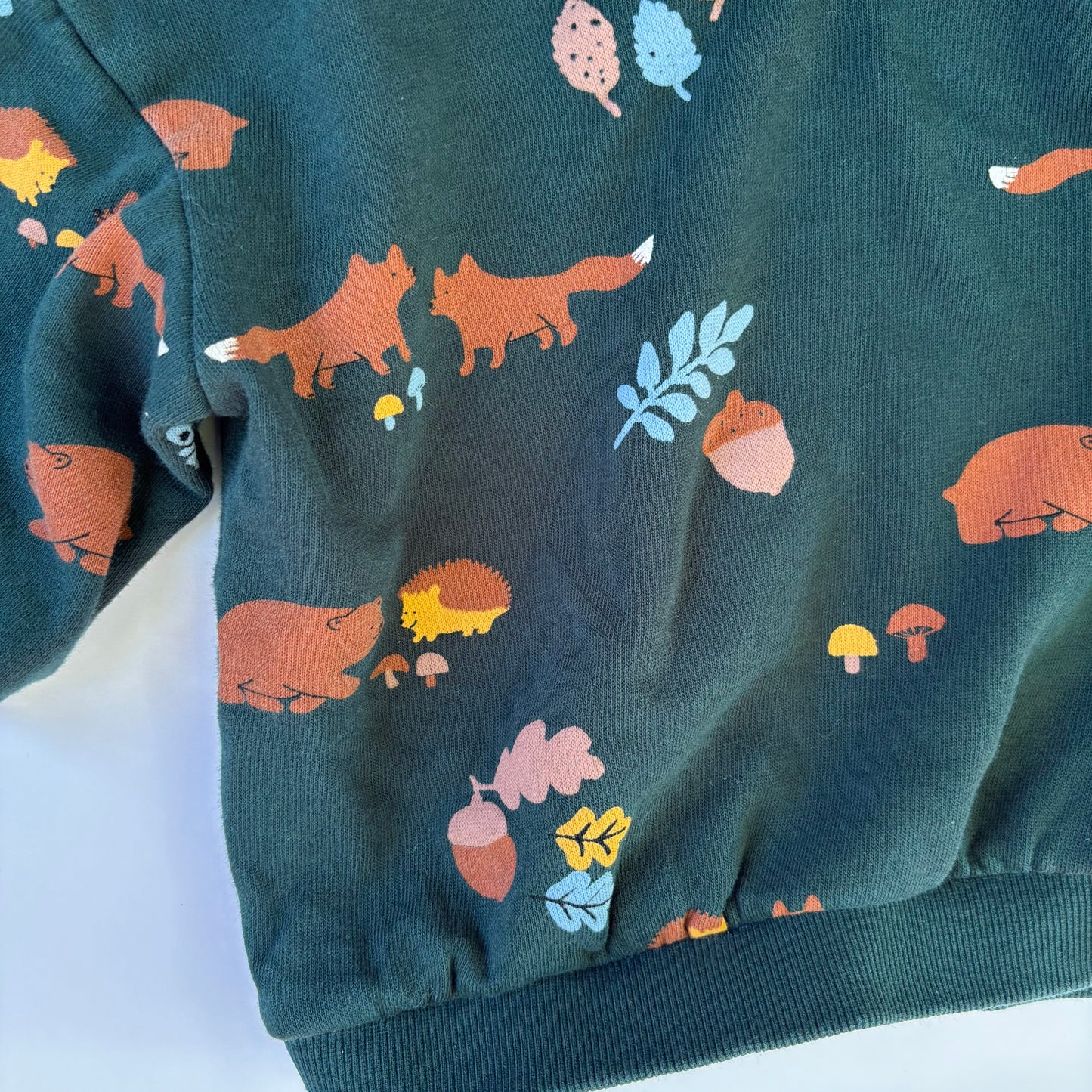 Fall Woodland Print Sweatshirt(6-9M)