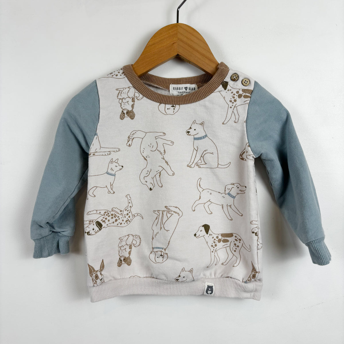 Lightweight Dog Print Sweatshirt (12-18M)