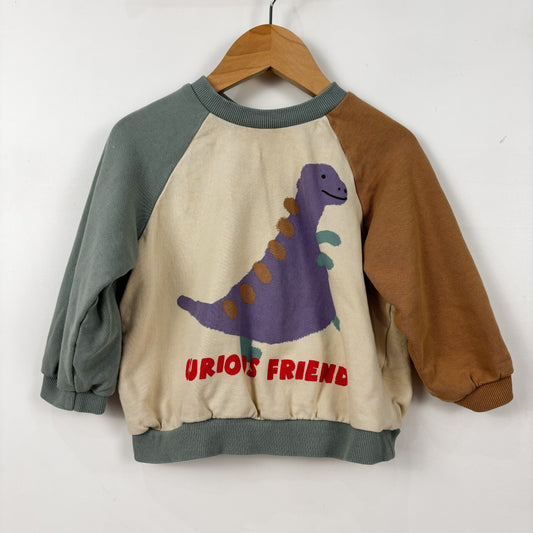Dino Graphic Sweatshirt (2T)