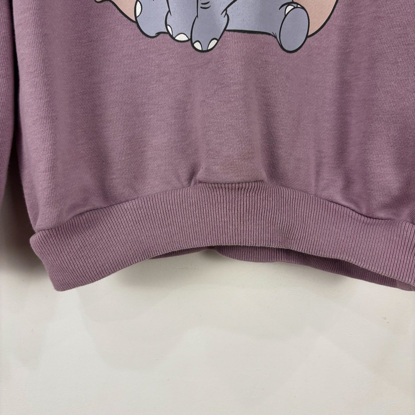 Purple Elephant Character Sweatshirt (4Y)