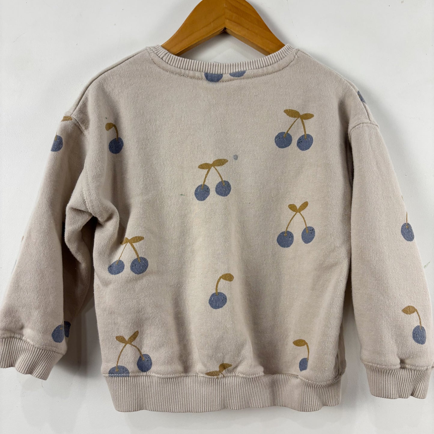 PLAY - Fruit Print Sweatshirt (2-3Y)