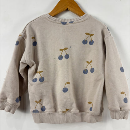 PLAY - Fruit Print Sweatshirt (2-3Y)