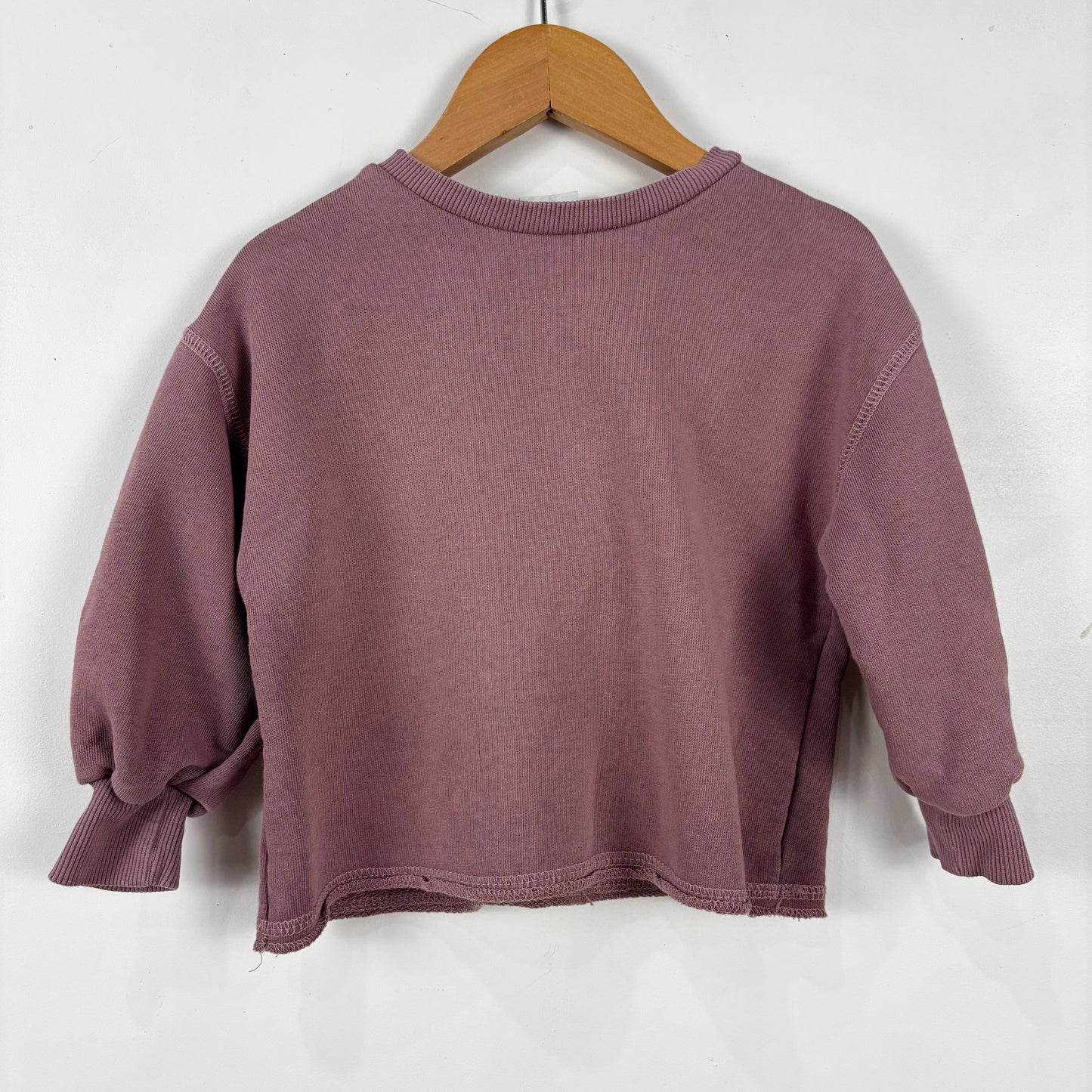 Purple Raw Hem Sweatshirt (18-24M)