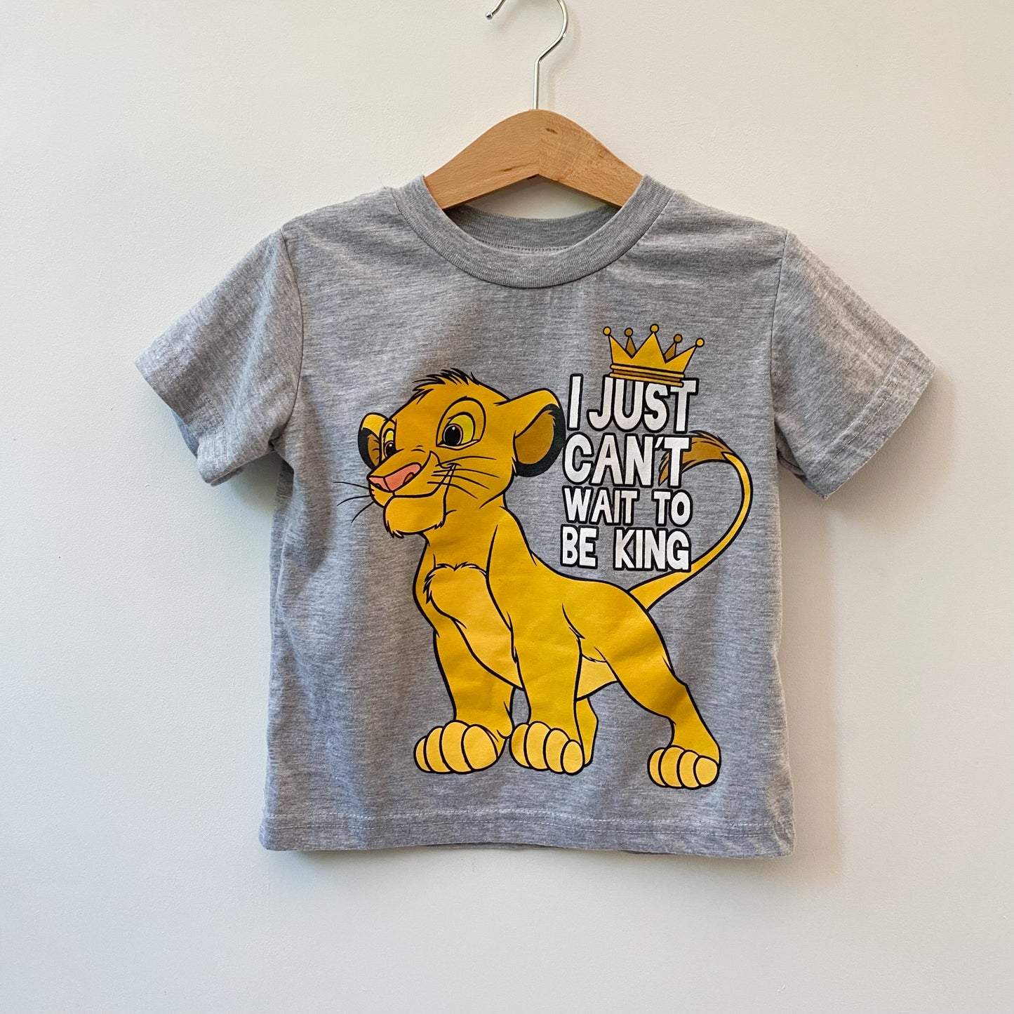 Lion Tshirt (4T)