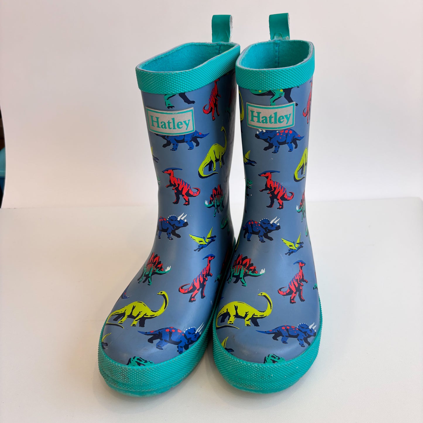 Blue Dino Rain Boots (12C)