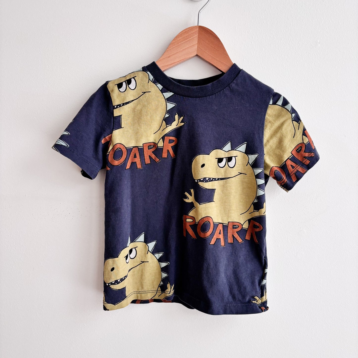 Dino Graphic Tshirt (2-4Y)