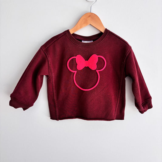 Burgundy Character Sweatshirt (2Y)