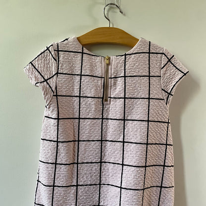 Pink Drop Waist Dress (4-6Y)