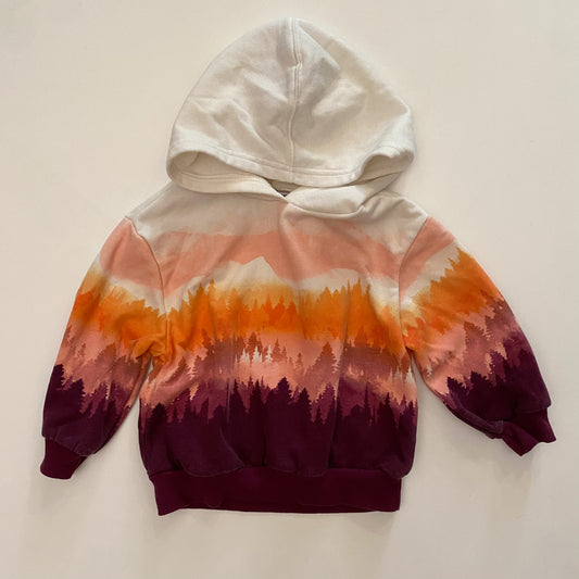 Mountain Hoodie (3T)