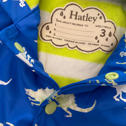 Blue Dinosaur Raincoat (5T)
