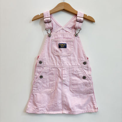 Pink Striped Skirtall (4T)