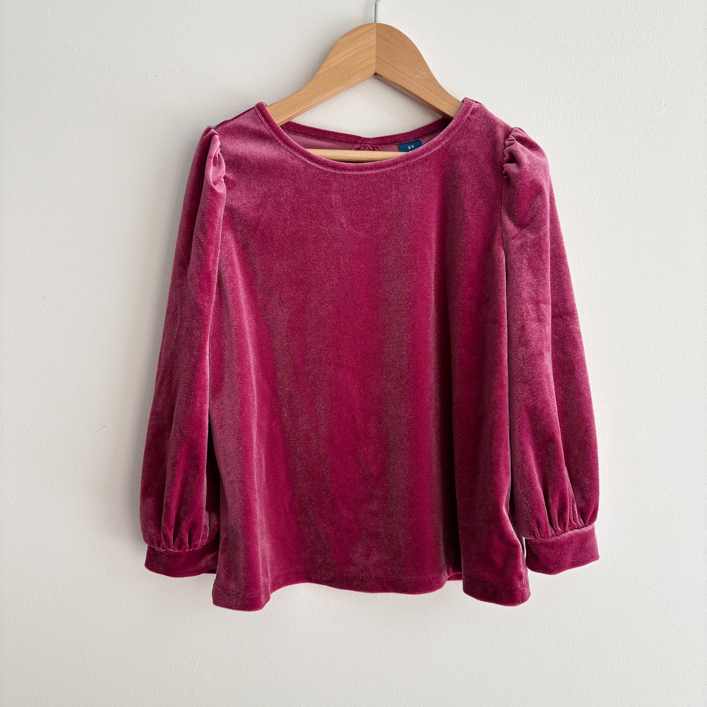 Pink Velvet Shirt (5T)