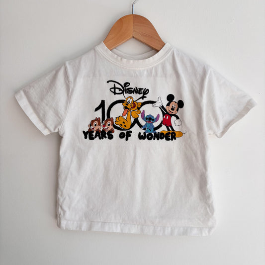 Embroidered Character Tshirt (2-3Y)