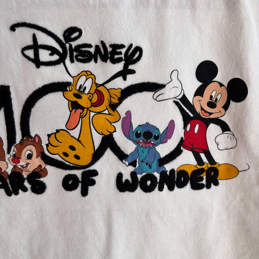 Embroidered Character Tshirt (2-3Y)