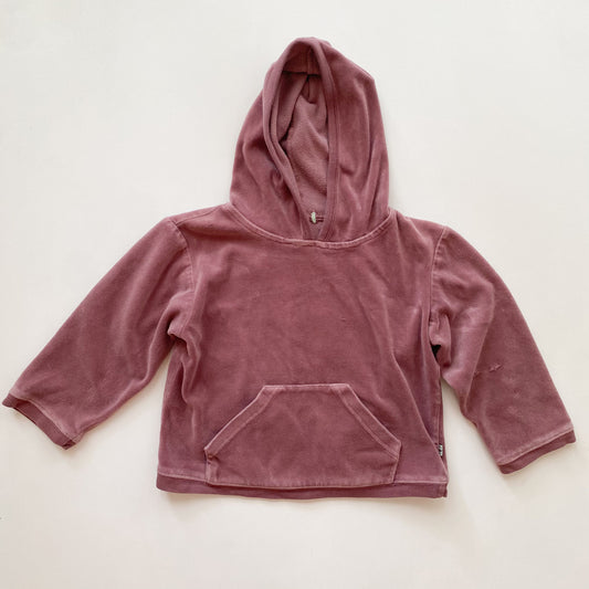 Purple Velour Hoodie (3T)