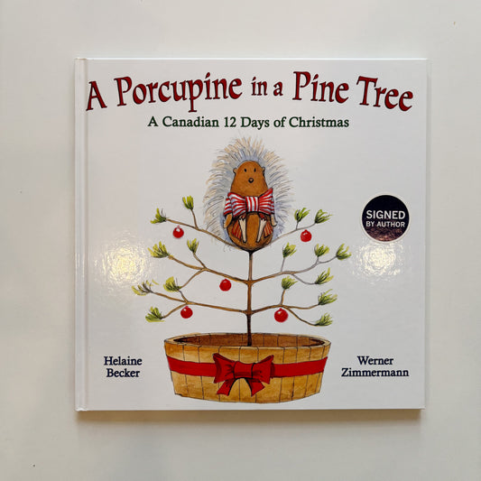 A Porcupine In A Pine Tree