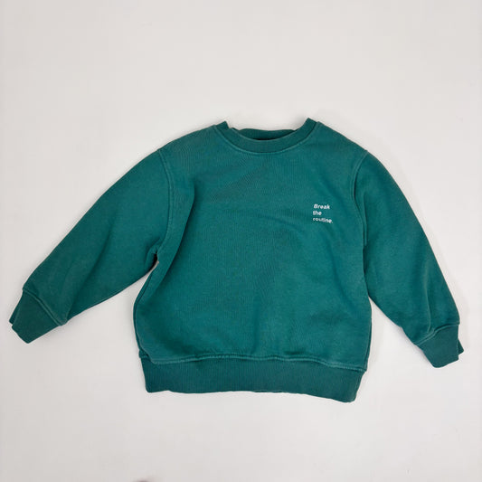 Green Crewneck Sweatshirt (6Y)