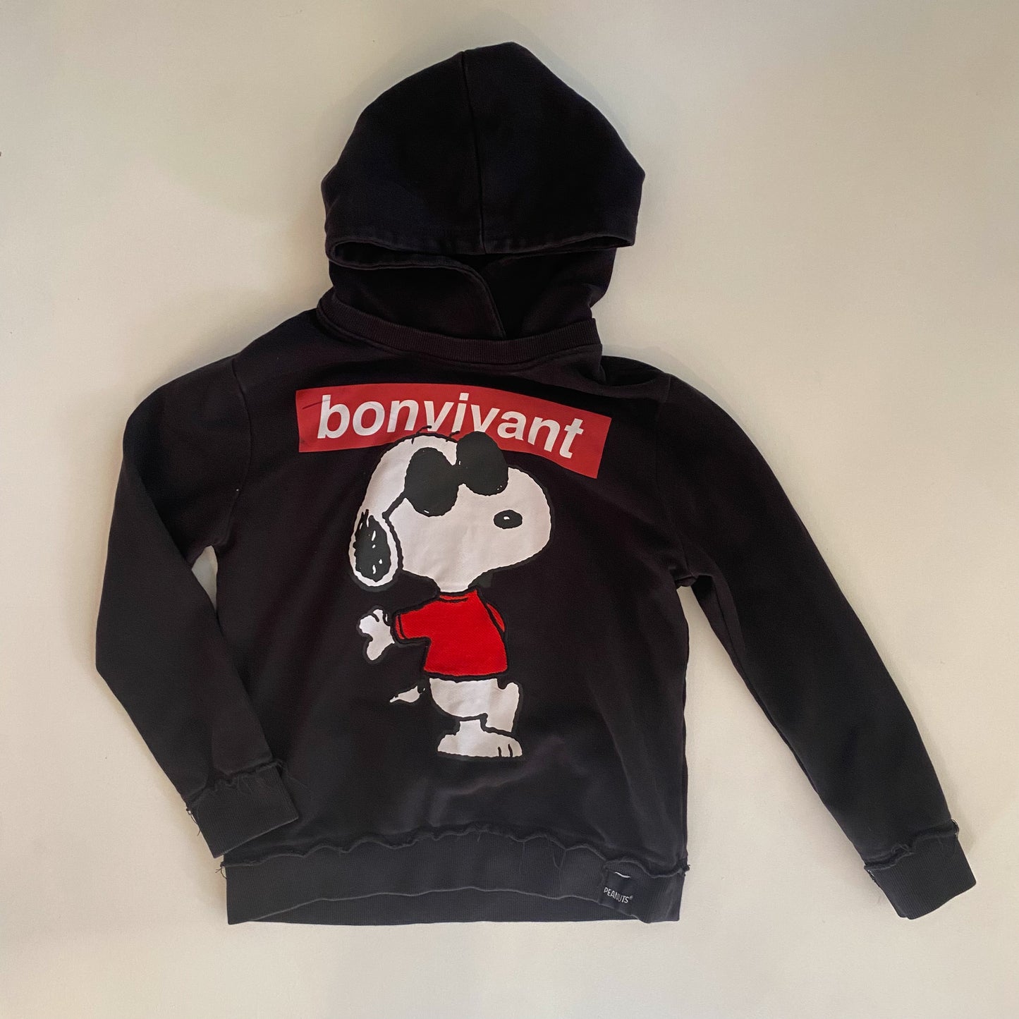 Dog Character Hoodie (8Y)