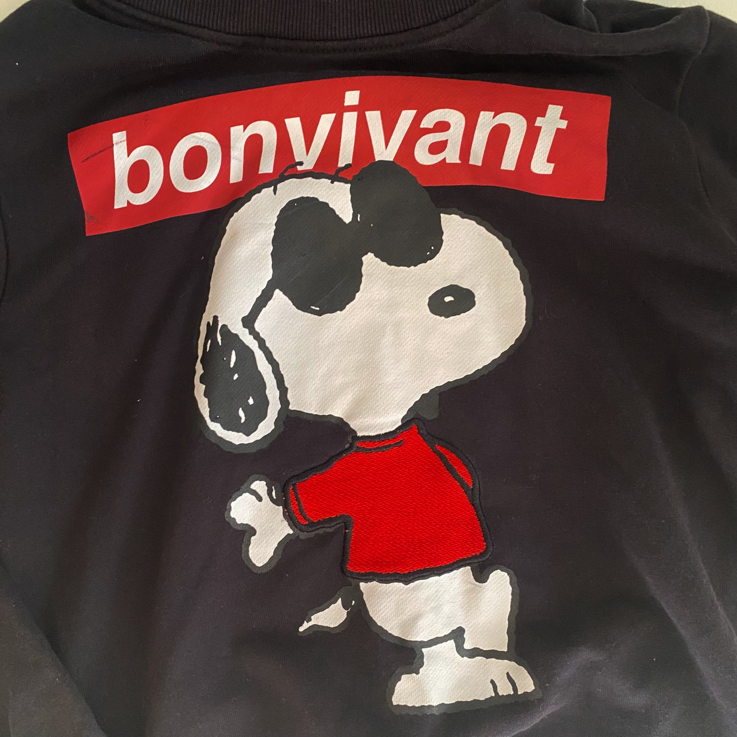 Dog Character Hoodie (8Y)