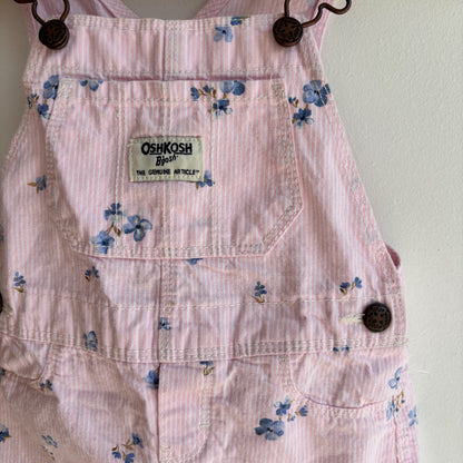 Pinstripe Florl Skirtall  (18-24M)