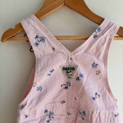 Pinstripe Florl Skirtall  (18-24M)