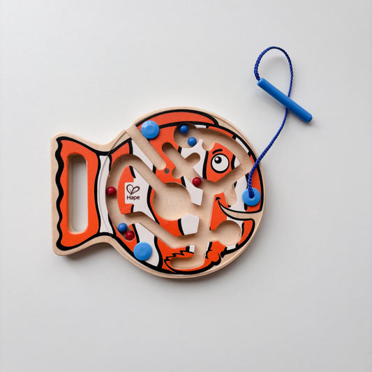 Magnetic Fish Maze