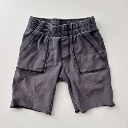 Grey Shorts (2T)