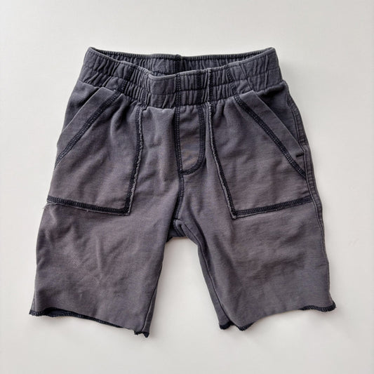 Grey Shorts (2T)
