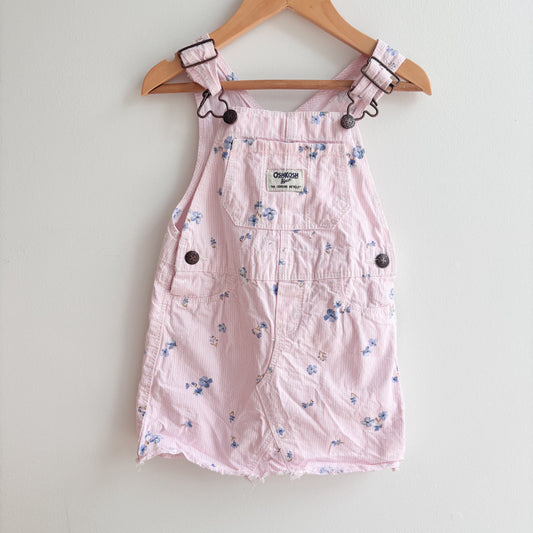 Pinstripe Florl Skirtall  (18-24M)