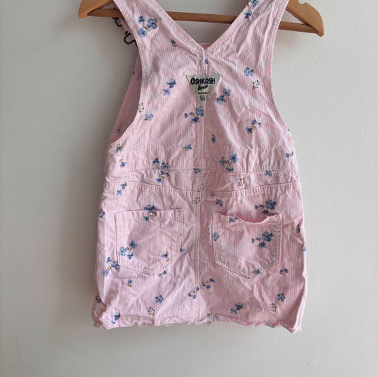 Pinstripe Florl Skirtall  (18-24M)