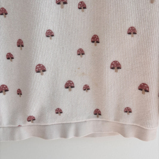 Mushroom Velour Long Sleeve (24M)