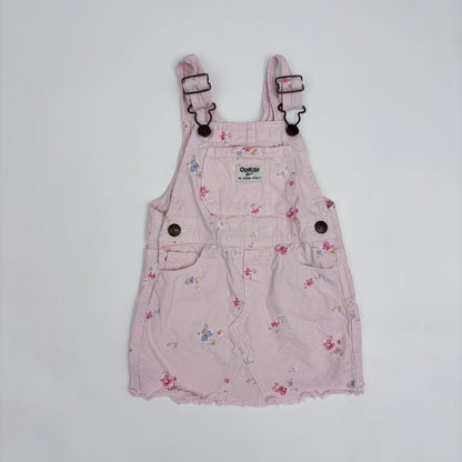 Pink Striped Floral Skirtall (2T)