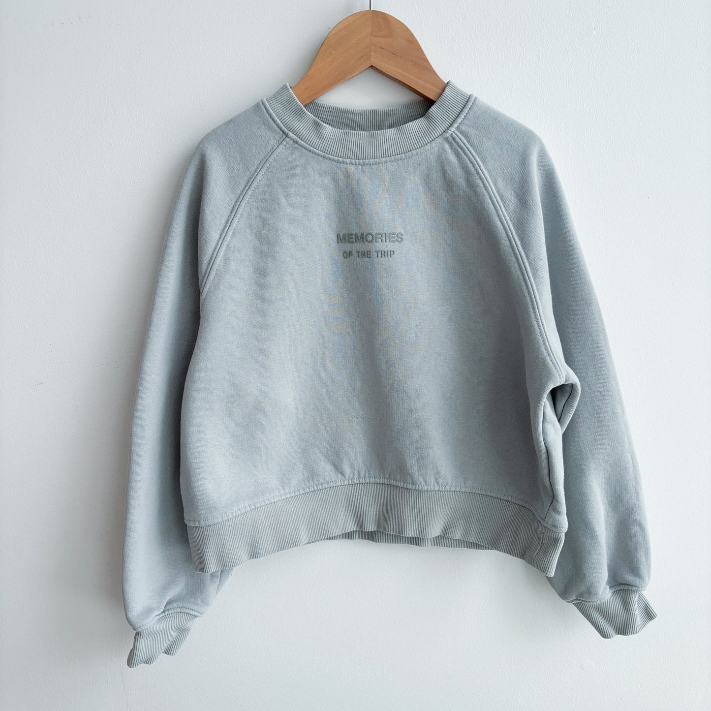 Cropped Crewneck Sweatshirt (8Y)