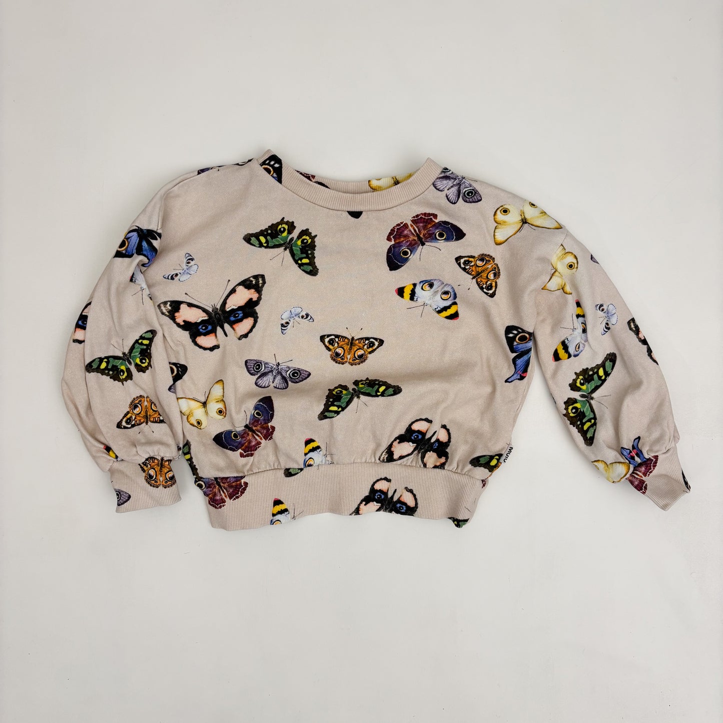 Lightweight Butterfly Crewneck (4T)