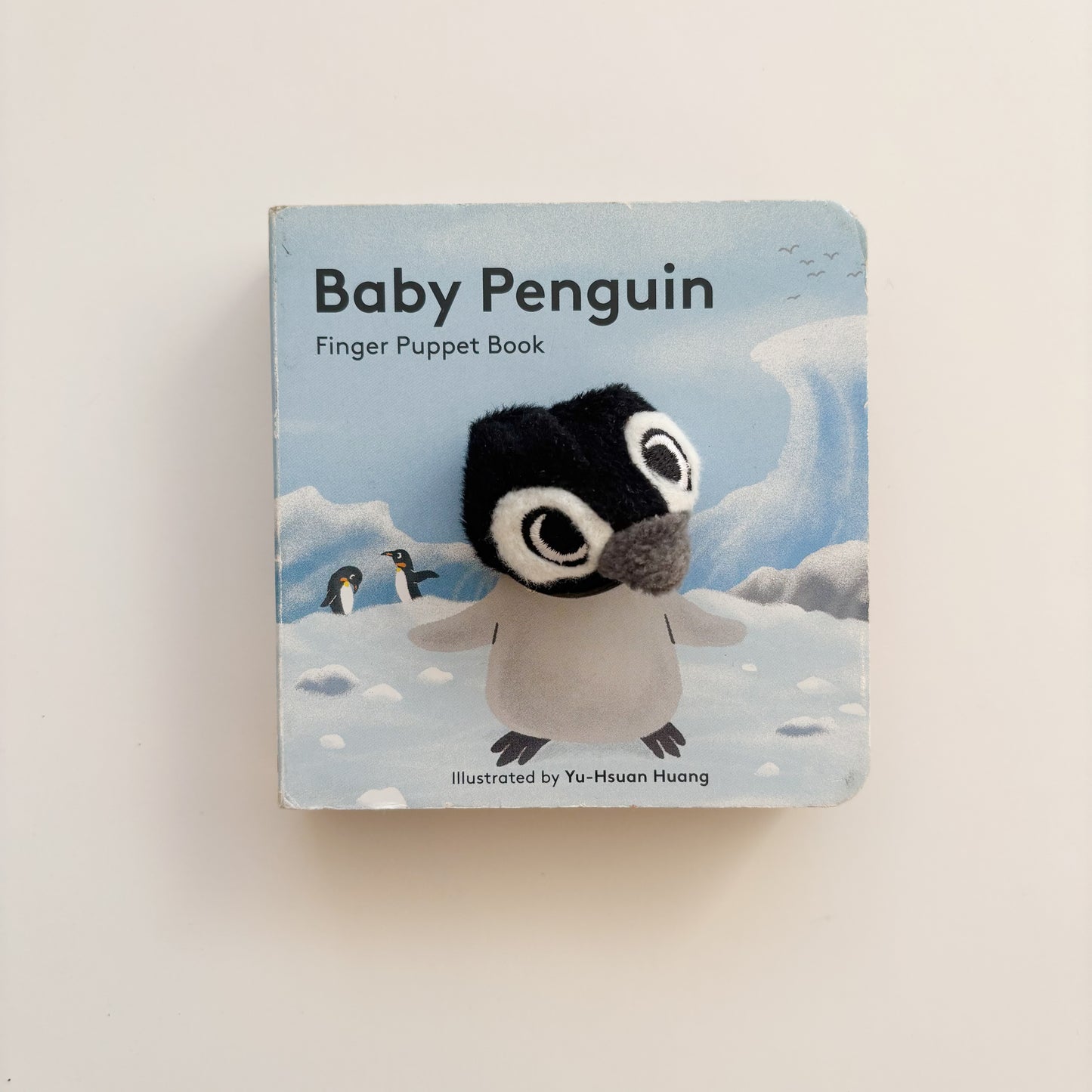 Baby Penguin