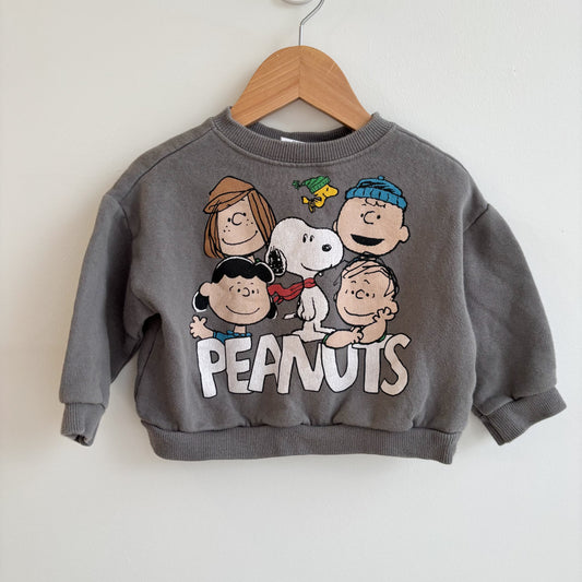 Character Sweatshirt (12-18M)