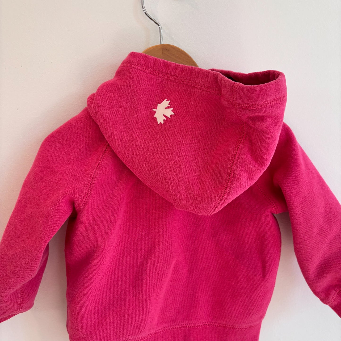 Pink Hoodie (18-24M)