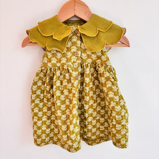 Green Petal Collar Dress (3-6M)