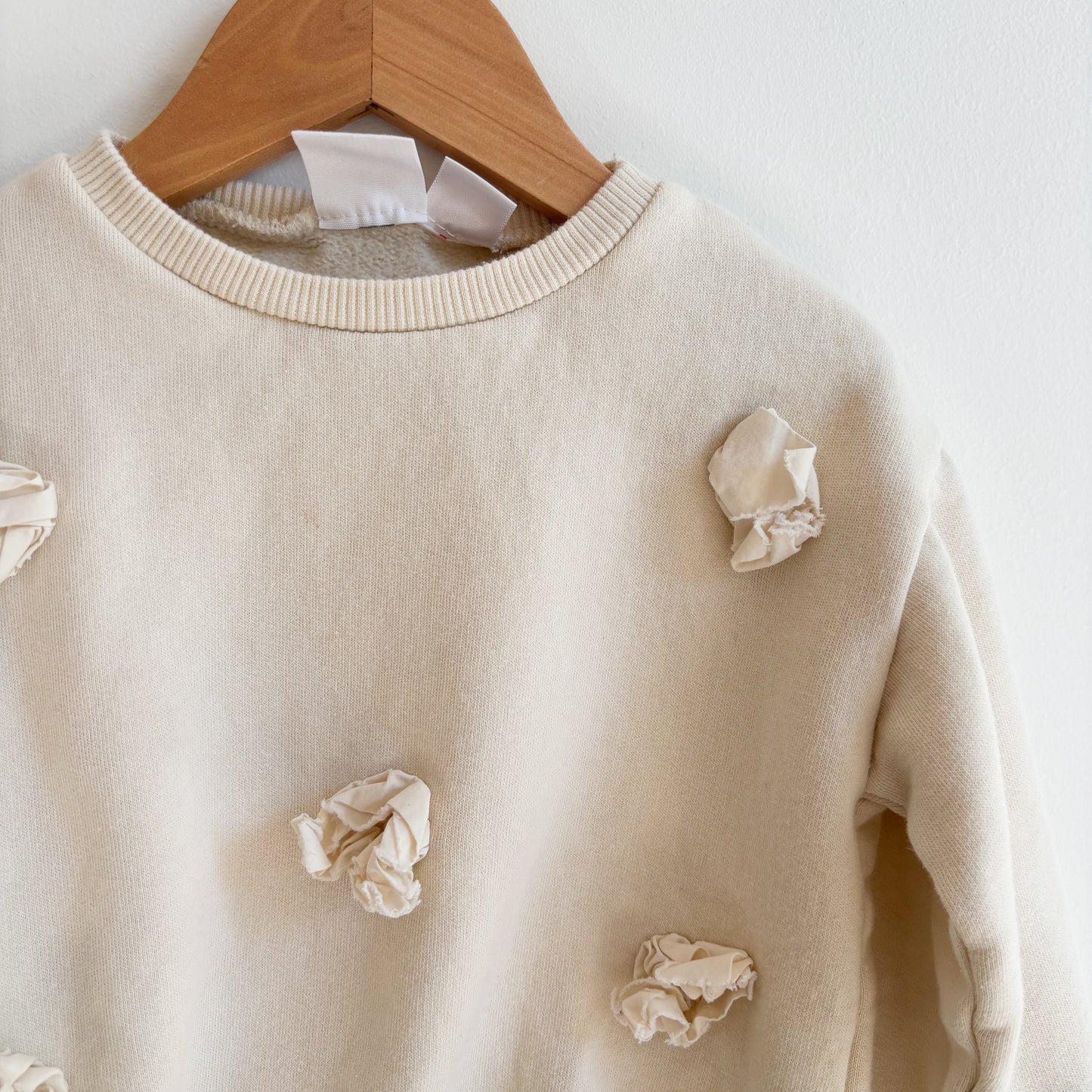 Cream Sweatshirt (2T)