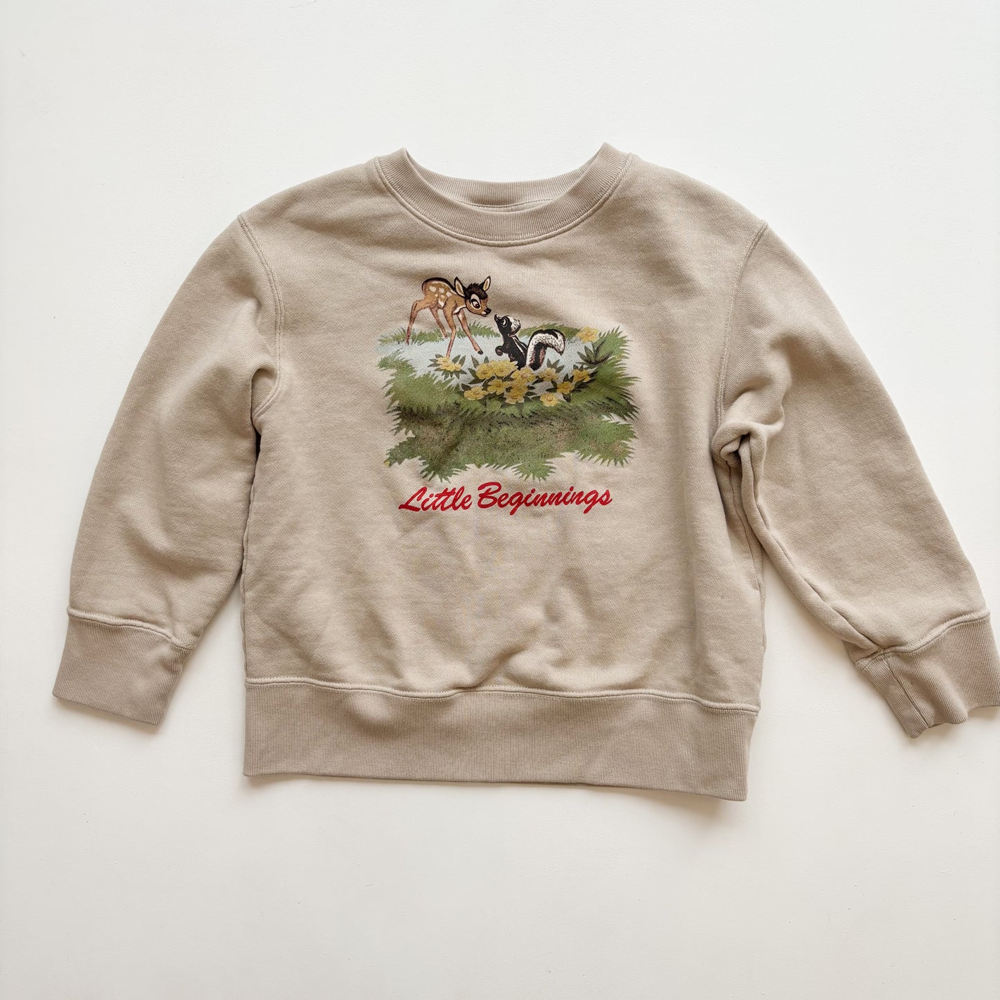 Deer & Skunk Character Sweatshirt (5-6Y)