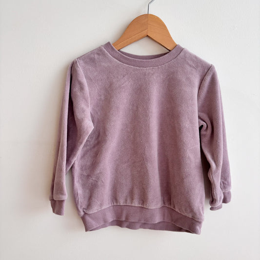 Purple Velour Sweatshirt (3T)