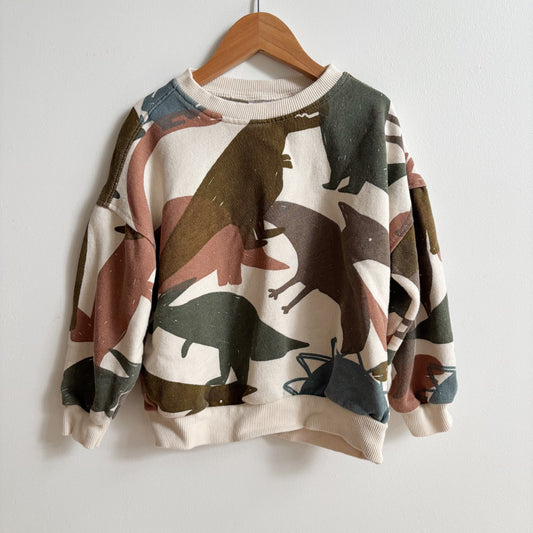Dino Print Sweatshirt (5T)