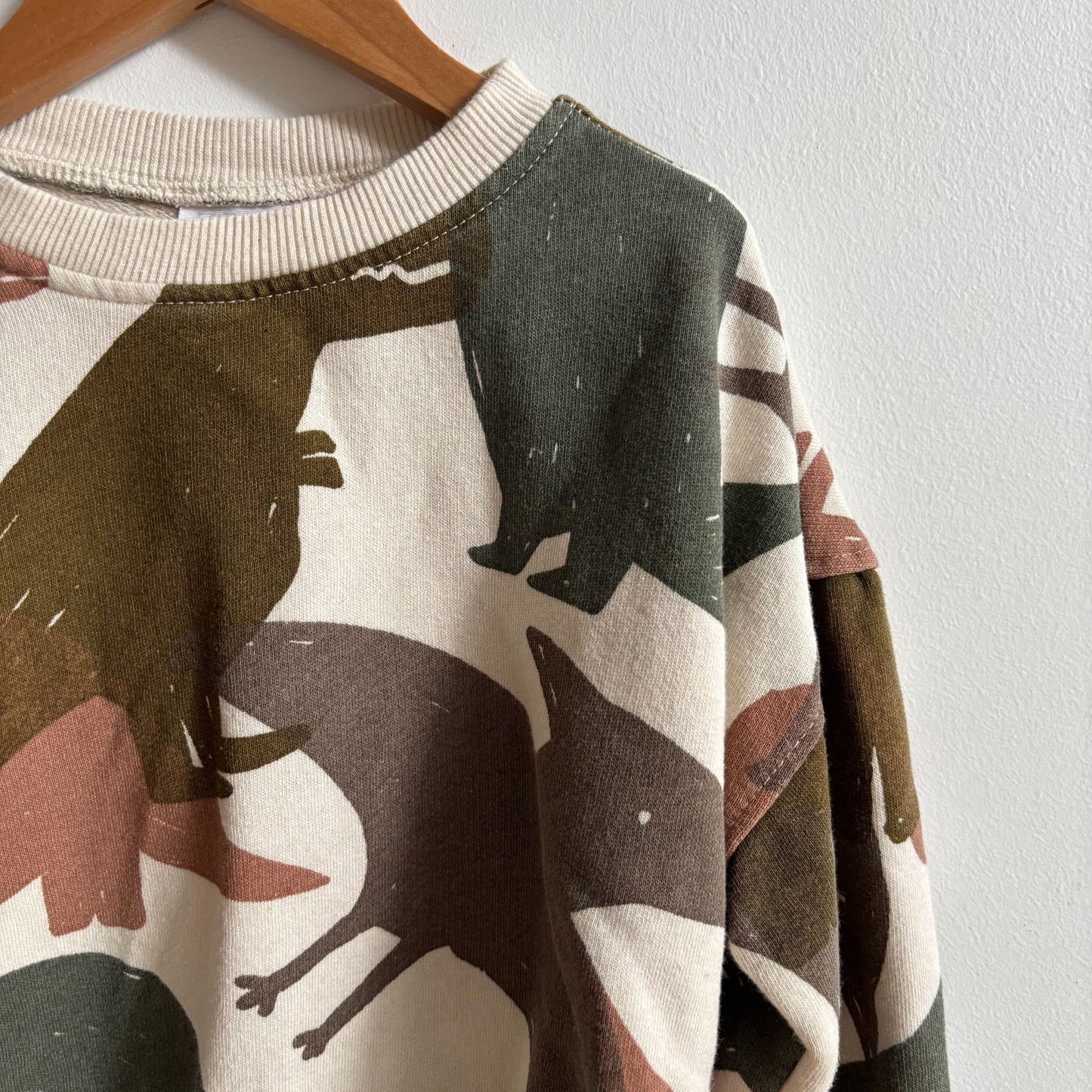 Dino Print Sweatshirt (5T)