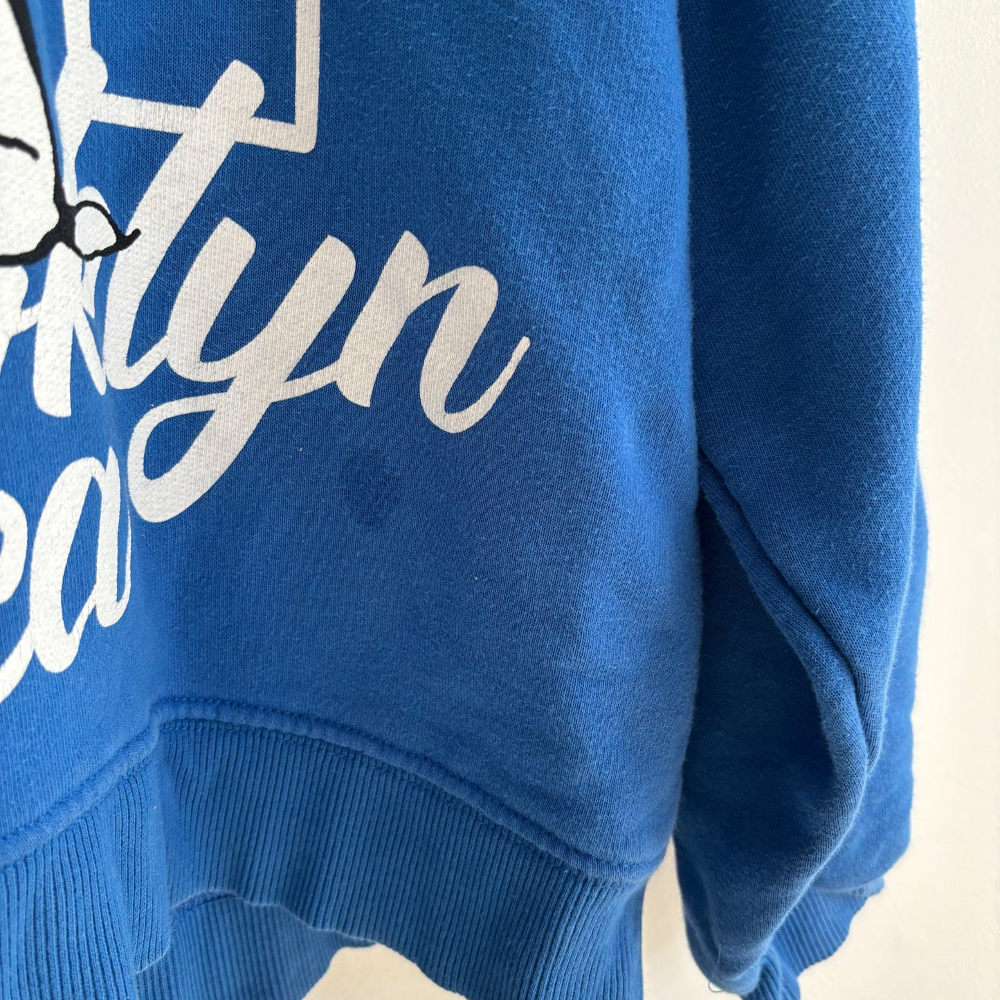 Blue Dog Hoodie (9-10Y)
