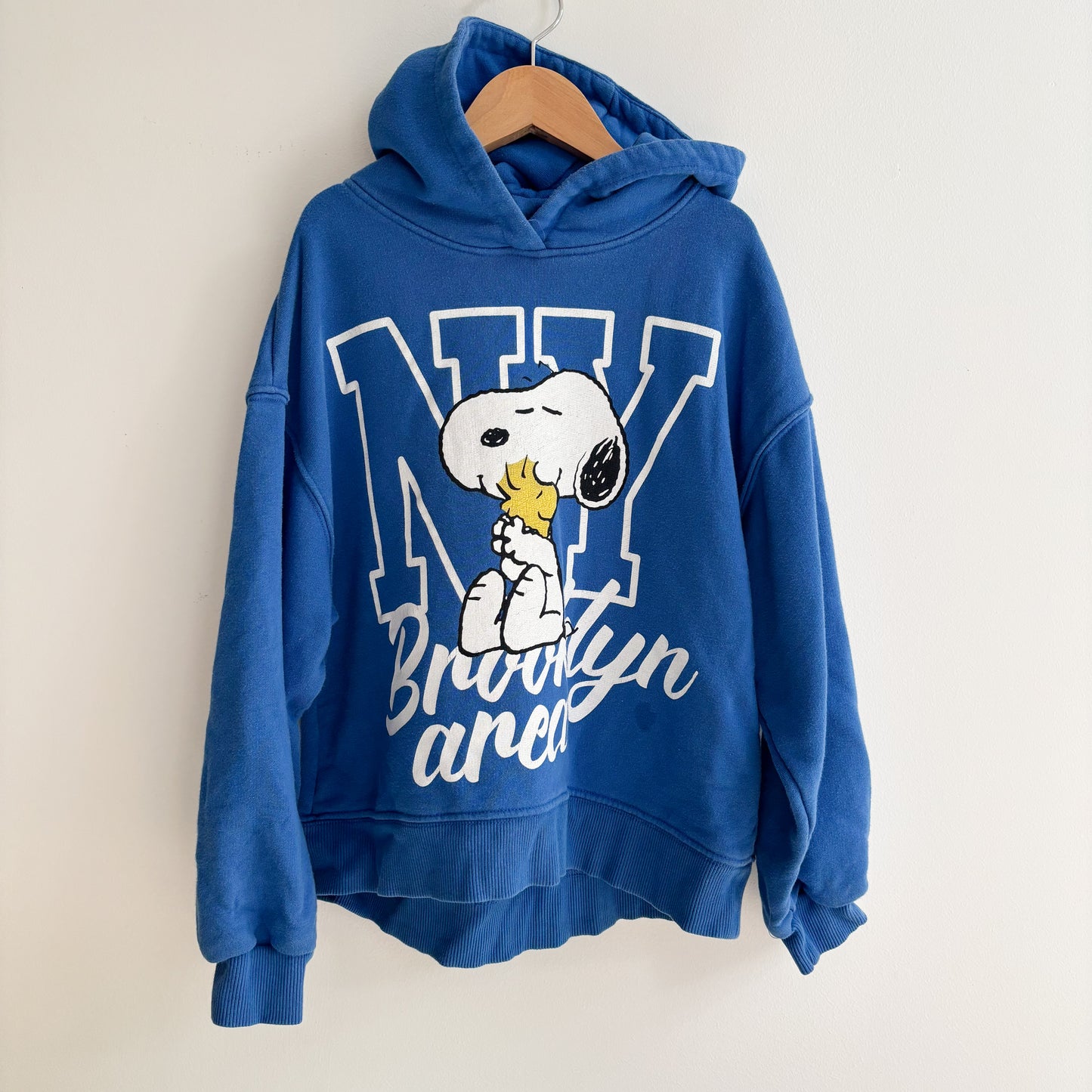 Blue Dog Hoodie (9-10Y)
