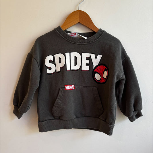 Spider Character Sweatshirt (18-24M)