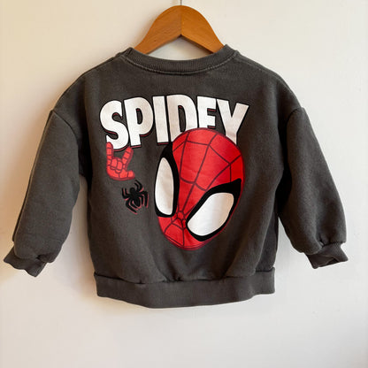 Spider Character Sweatshirt (18-24M)