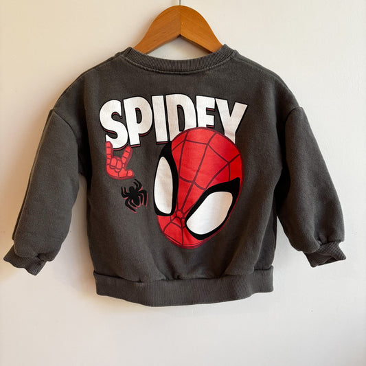 Spider Character Sweatshirt (18-24M)